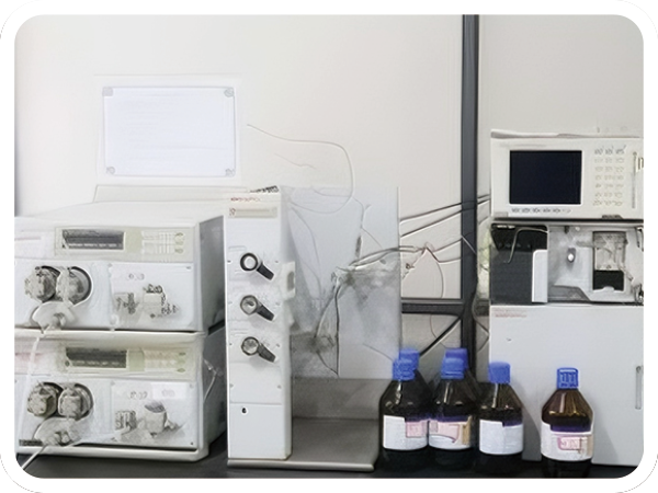 �����\�K�X�N���}�g�O���t