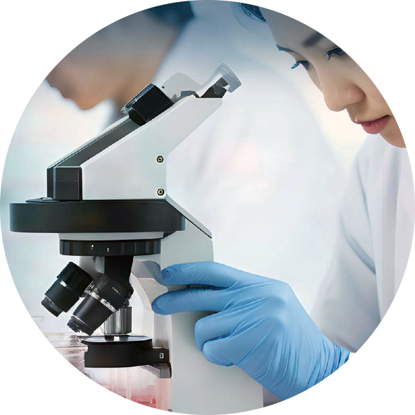 �����炵���P���関��